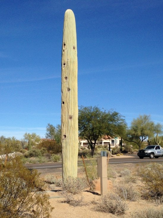 Fiberglass saguaro
